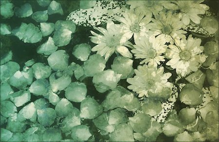 simsearch:400-05688265,k - Painted Flowers Background Grunge Creative as Art Stockbilder - Microstock & Abonnement, Bildnummer: 400-04617520