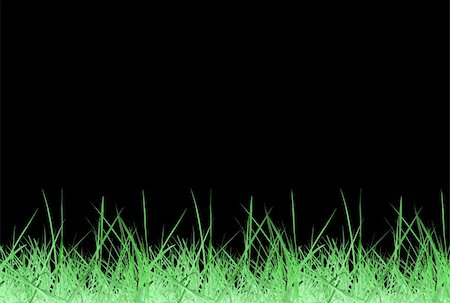 simsearch:400-05118067,k - Green meadow grass over black background with copy space Stock Photo - Budget Royalty-Free & Subscription, Code: 400-04618037