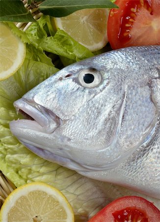 fresh blue fish - Denton, Mediterranean sparus fish, family of gilthead and snapper Stock Photo - Budget Royalty-Free & Subscription, Code: 400-04618051