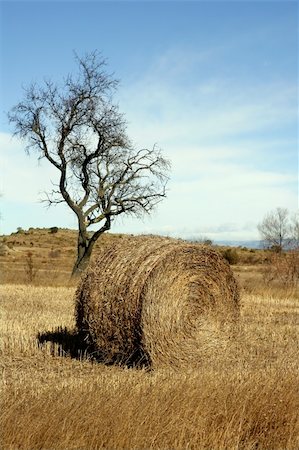 simsearch:400-06201047,k - Yellow straw round bale in the fields, blue sky, Spain Stock Photo - Budget Royalty-Free & Subscription, Code: 400-04618332