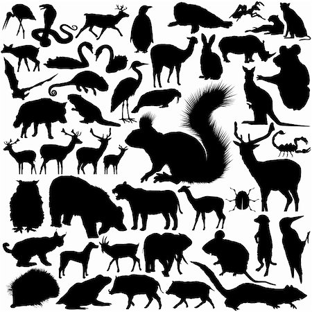 simsearch:400-04094850,k - 46 pieces of detailed vectoral wild animal silhouettes. Photographie de stock - Aubaine LD & Abonnement, Code: 400-04618936