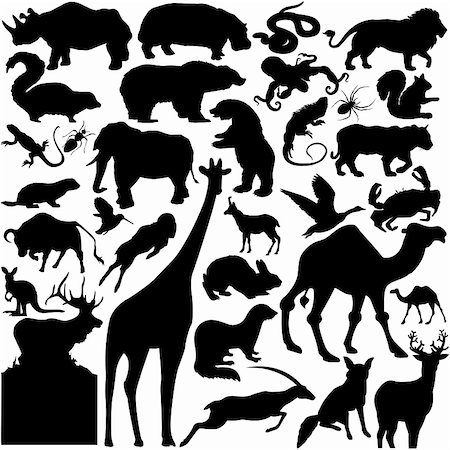 30 pieces of detailed vectoral wild animals silhouettes. Stock Photo - Budget Royalty-Free & Subscription, Code: 400-04618938