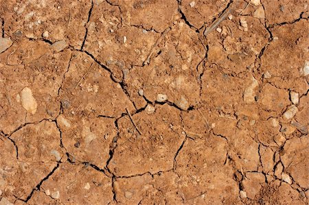 simsearch:400-06327934,k - Dry brown soil texture Stockbilder - Microstock & Abonnement, Bildnummer: 400-04619143