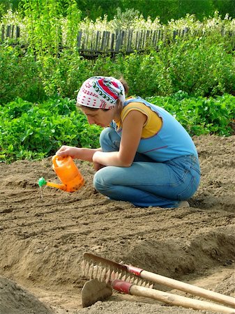 simsearch:400-05682396,k - woman watering vegetable bed for sowing seeds Stock Photo - Budget Royalty-Free & Subscription, Code: 400-04619332
