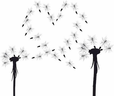Silhouette of  love dandelion concept Stock Photo - Budget Royalty-Free & Subscription, Code: 400-04619586
