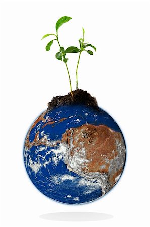 simsearch:400-08412015,k - Baby plant growing from the earth over a white background. Data source: nasa. Foto de stock - Super Valor sin royalties y Suscripción, Código: 400-04619587