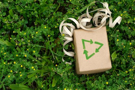 Eco friendly gift wrapped in recycled paper surround by green plants Photographie de stock - Aubaine LD & Abonnement, Code: 400-04619853