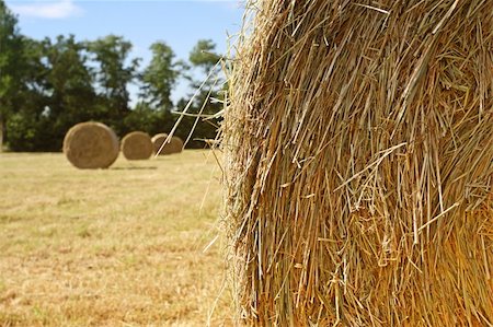 simsearch:700-02671560,k - close up of golden classic hay bales rural background Stock Photo - Budget Royalty-Free & Subscription, Code: 400-04610264