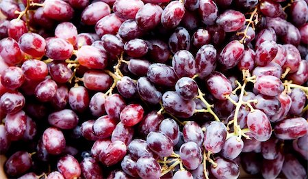 Healthy red Yaquti grapes on stems, great for wine Stock Photo - Budget Royalty-Free & Subscription, Code: 400-04610449