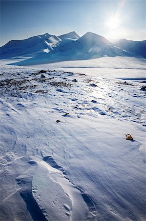 simsearch:400-05140080,k - A panorama landscape on Spitsbergen Island, Svalbard, Norway Fotografie stock - Microstock e Abbonamento, Codice: 400-04610598