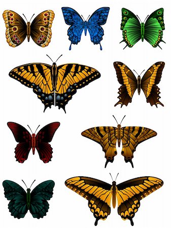 simsearch:400-08787096,k - butterfly collection Photographie de stock - Aubaine LD & Abonnement, Code: 400-04610707
