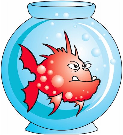 fish clip art to color - Angry Comic fish in small aquarium Stock Photo - Budget Royalty-Free & Subscription, Code: 400-04610851