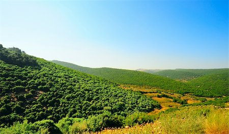 Forest Landscape Of North Galilee In Early Spring, Israel. Photographie de stock - Aubaine LD & Abonnement, Code: 400-04611071