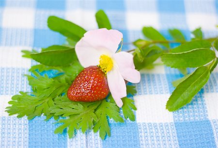 dessert, day, crop, color, cloth, bright, blue, berry, beauty, beautiful, barbeque, background, abstract, fabric, eat, wooden, wallpaper, utensils, textile, tasty, sweet, summer, strawberries, stick, square, spring, skewer, season, red, plant, pink, nature, Stock Photo - Budget Royalty-Free & Subscription, Code: 400-04611691