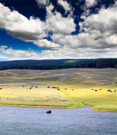 river usa scenic spring - The scenery along the Yellowstone River in Yellowstone National Park Stock Photo - Budget Royalty-Free & Subscription, Code: 400-04612357