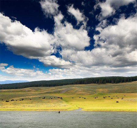 simsearch:400-05351326,k - The scenery along the Yellowstone River in Yellowstone National Park Foto de stock - Royalty-Free Super Valor e Assinatura, Número: 400-04612358