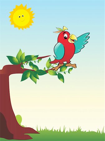 periquito - green garden background with parrot sitting on tree Foto de stock - Super Valor sin royalties y Suscripción, Código: 400-04613059