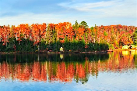 Forest of colorful autumn trees reflecting in calm lake Stock Photo - Budget Royalty-Free & Subscription, Code: 400-04613230