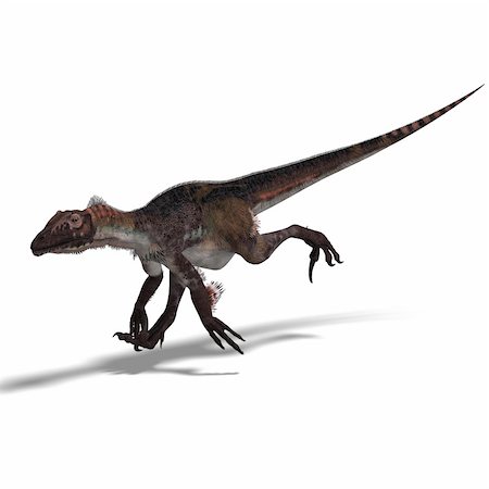 simsearch:400-04818670,k - Dinosaur Utahraptor. 3D render with clipping path and shadow over white Foto de stock - Royalty-Free Super Valor e Assinatura, Número: 400-04624155