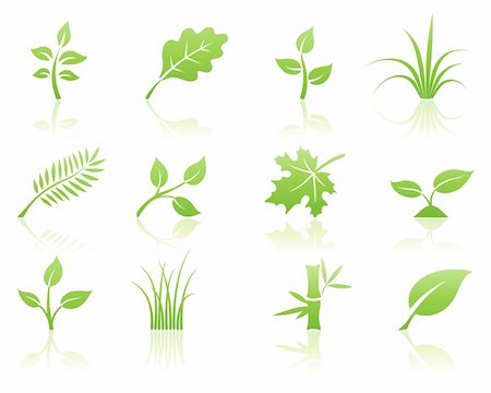 Vector illustration of green ecology nature floral icon set with reflections Stock Photo - Budget Royalty-Free & Subscription, Code: 400-04625614