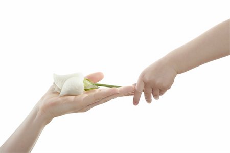 Daughter, son, giving mother a white rose, isolated on white Stock Photo - Budget Royalty-Free & Subscription, Code: 400-04626079