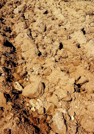 simsearch:400-06327934,k - Agriculture field red clay soil texture macro Stockbilder - Microstock & Abonnement, Bildnummer: 400-04626092