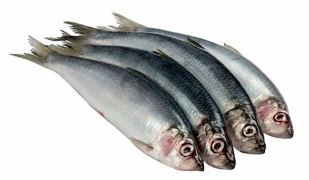 Fresh raw herring isolated on white Foto de stock - Super Valor sin royalties y Suscripción, Código: 400-04626218