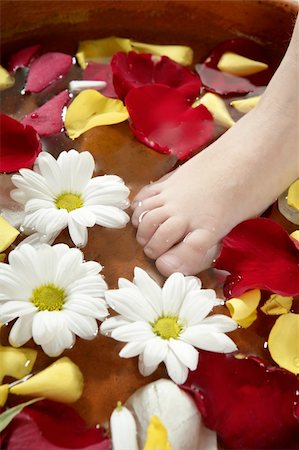 foot daisy - Aromatherapy, flowers children feet bath, colorful rose petal Stock Photo - Budget Royalty-Free & Subscription, Code: 400-04626506