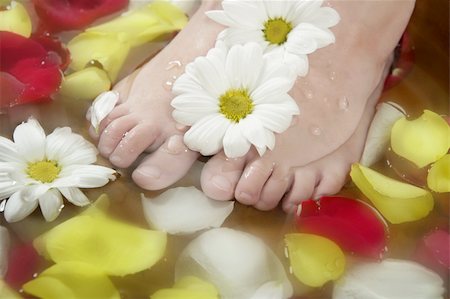 foot daisy - Aromatherapy, flowers children feet bath, colorful rose petal Stock Photo - Budget Royalty-Free & Subscription, Code: 400-04626509