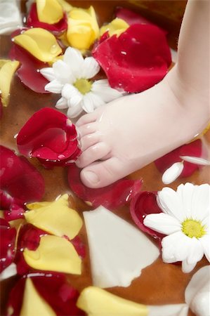 foot daisy - Aromatherapy, flowers children feet bath, colorful rose petal Stock Photo - Budget Royalty-Free & Subscription, Code: 400-04626510