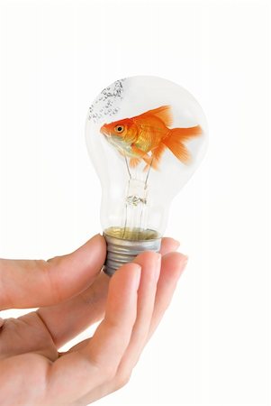 hand holding a light bulb with swimming fish isolated on white background Stock Photo - Budget Royalty-Free & Subscription, Code: 400-04626610