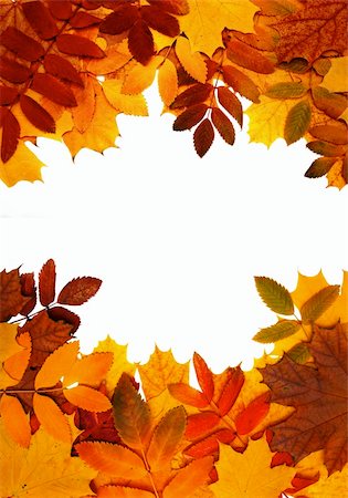 simsearch:400-04609388,k - Decorative frame from bright autumn leaves Stock Photo - Budget Royalty-Free & Subscription, Code: 400-04626742