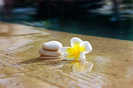 Tropical flower and stones lying on marble floor of hotel spa salon Stock Photo - Budget Royalty-Free & Subscription, Code: 400-04627658