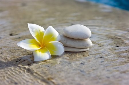 Tropical flower and stones lying on marble floor of hotel spa salon Stock Photo - Budget Royalty-Free & Subscription, Code: 400-04627659