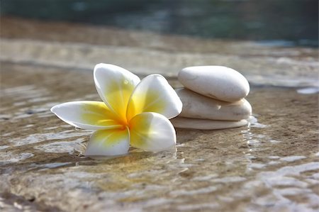 Tropical flower and stones lying on marble floor of hotel spa salon Stock Photo - Budget Royalty-Free & Subscription, Code: 400-04627660