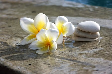 Tropical flowers and stones lying on marble floor of hotel spa salon Stock Photo - Budget Royalty-Free & Subscription, Code: 400-04627661
