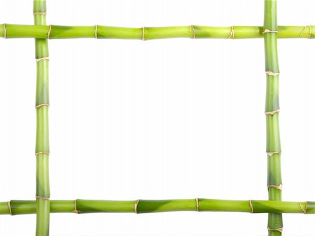 green bamboo frame isolated Foto de stock - Super Valor sin royalties y Suscripción, Código: 400-04628121