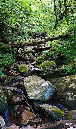 simsearch:400-07824010,k - nice scenic view of a waterfall with silky smooth water Photographie de stock - Aubaine LD & Abonnement, Code: 400-04628756