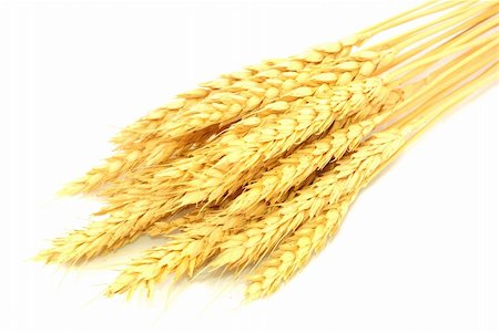 wheat Stock Photo - Budget Royalty-Free & Subscription, Code: 400-04628770