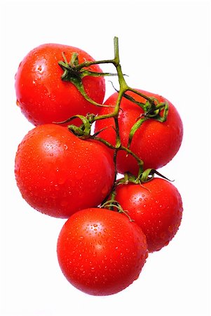 simsearch:400-04753423,k - tomato branch Photographie de stock - Aubaine LD & Abonnement, Code: 400-04628797