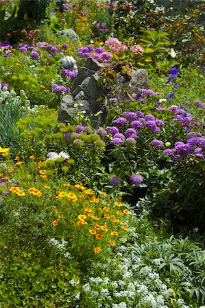 simsearch:400-04436052,k - A flourish garden Stock Photo - Budget Royalty-Free & Subscription, Code: 400-04629384