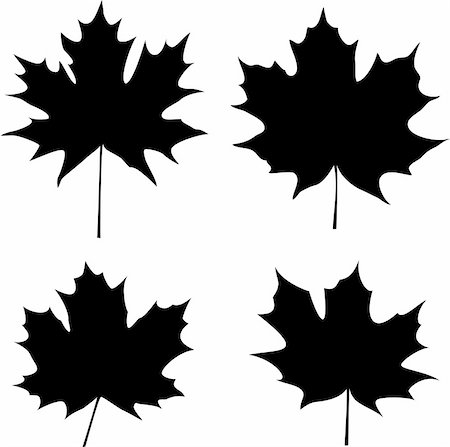 maple leaves silhouette Foto de stock - Super Valor sin royalties y Suscripción, Código: 400-04629520