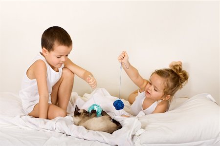 Kids playing with their kitten and yarn in the bed Stock Photo - Budget Royalty-Free & Subscription, Code: 400-04629638