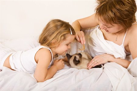 Little girl and woman playing with a kitten laying on the bed Stock Photo - Budget Royalty-Free & Subscription, Code: 400-04629632