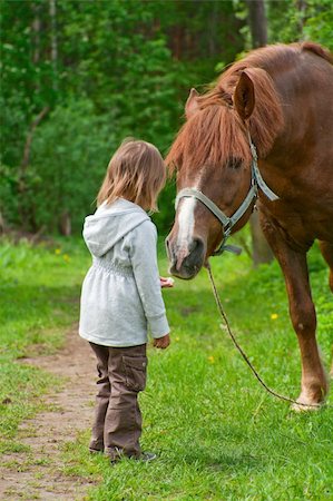 Total trust. Big chestnut horse pulls it's neck to little beautiful girl. Stock Photo - Budget Royalty-Free & Subscription, Code: 400-04620265