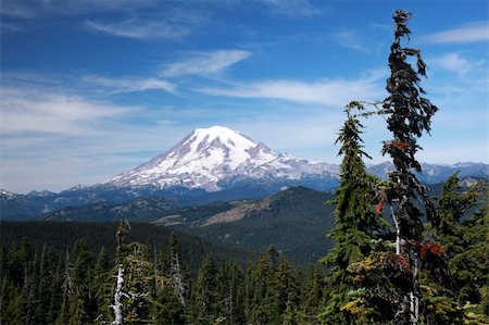 A magnificent view of Mount Rainier and the surrounding terrain Stock Photo - Budget Royalty-Free & Subscription, Code: 400-04634068