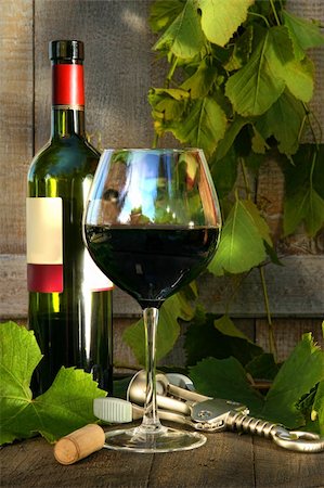 simsearch:689-03129183,k - Still life with red wine bottle and glass and grapevine leaves Fotografie stock - Microstock e Abbonamento, Codice: 400-04634790