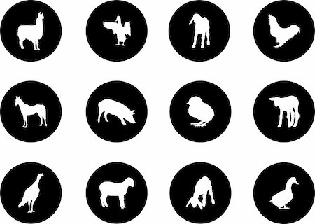 Animals. Set of 12 round vector buttons for web Stock Photo - Budget Royalty-Free & Subscription, Code: 400-04635155