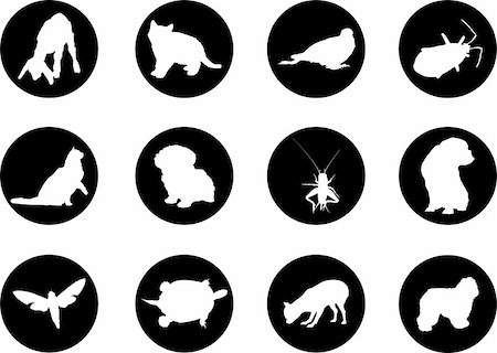 Animals. Set of 12 round vector buttons for web Stock Photo - Budget Royalty-Free & Subscription, Code: 400-04635158