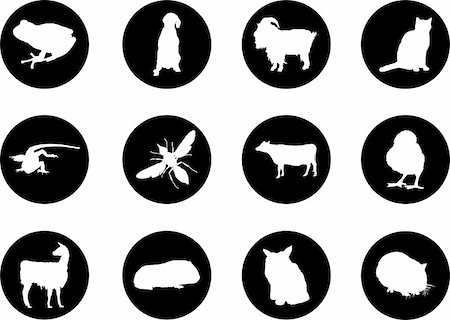 Animals. Set of 12 round vector buttons for web Stock Photo - Budget Royalty-Free & Subscription, Code: 400-04635159